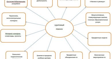 система работы с одарёнными