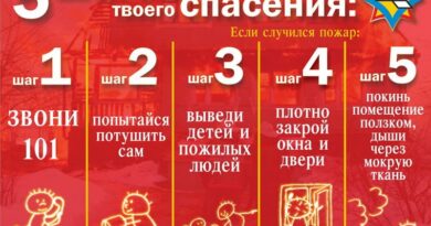 5 шагов к спасению