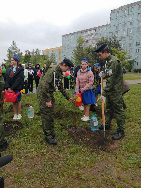 сиреневый сад