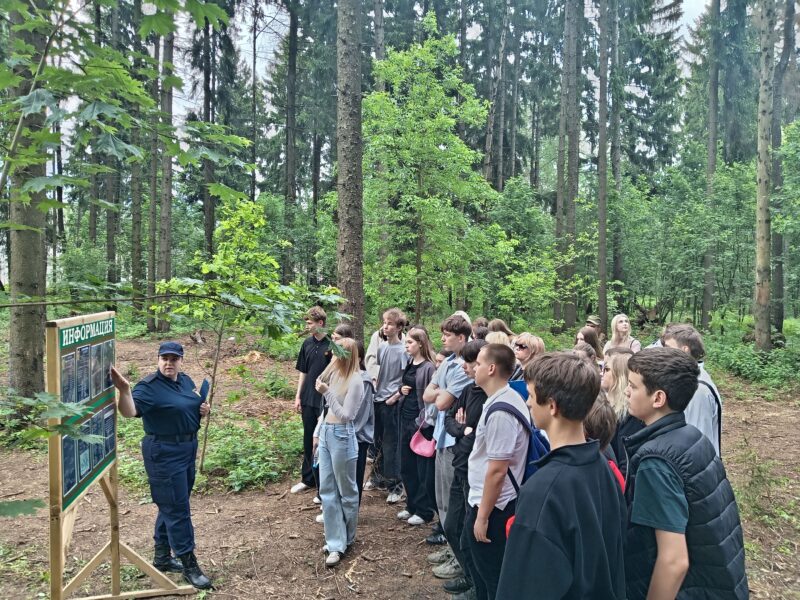 казимировский лес