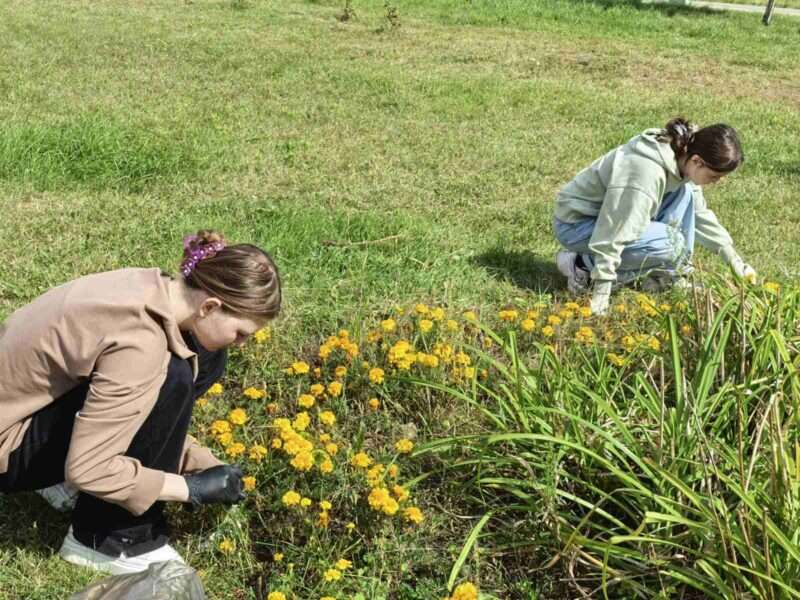 уборка памятника