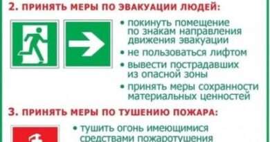 инфографика