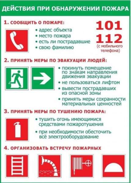 инфографика