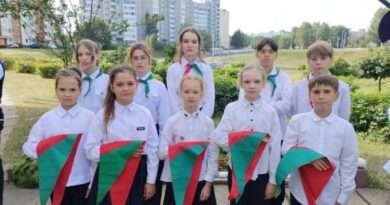 пионерия