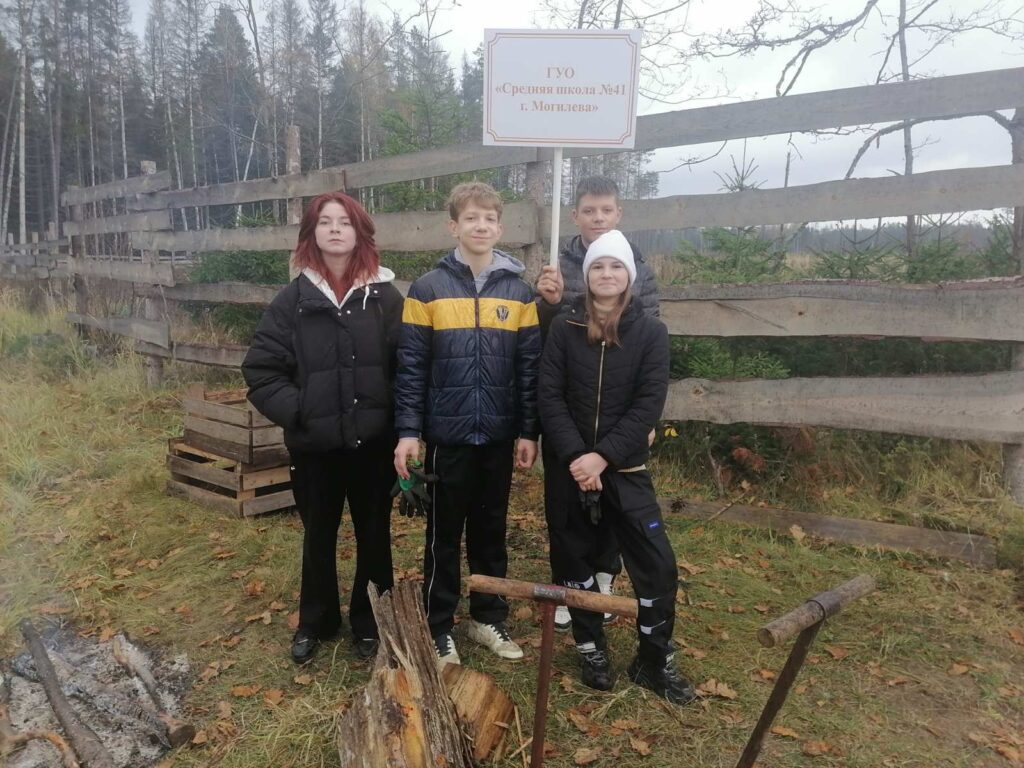 дай лесу новае жыццё