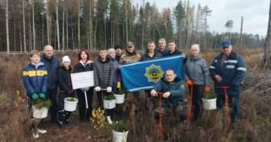 дай лесу новае жыццё