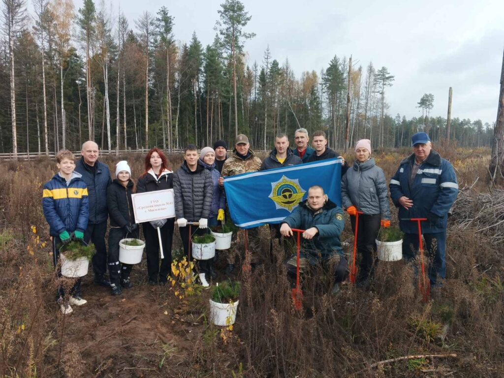дай лесу новае жыццё
