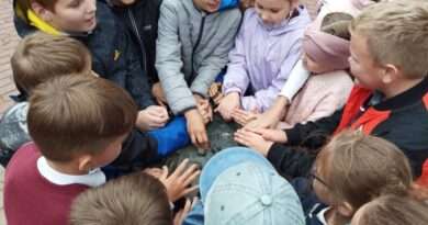 пешеходная экскурсия