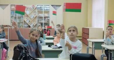 дети машут флажками