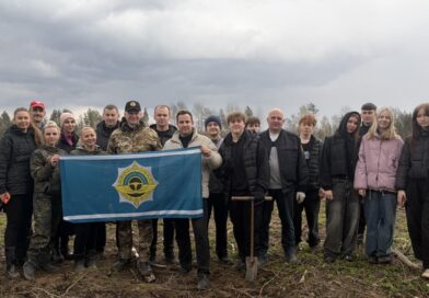 на высадке леса