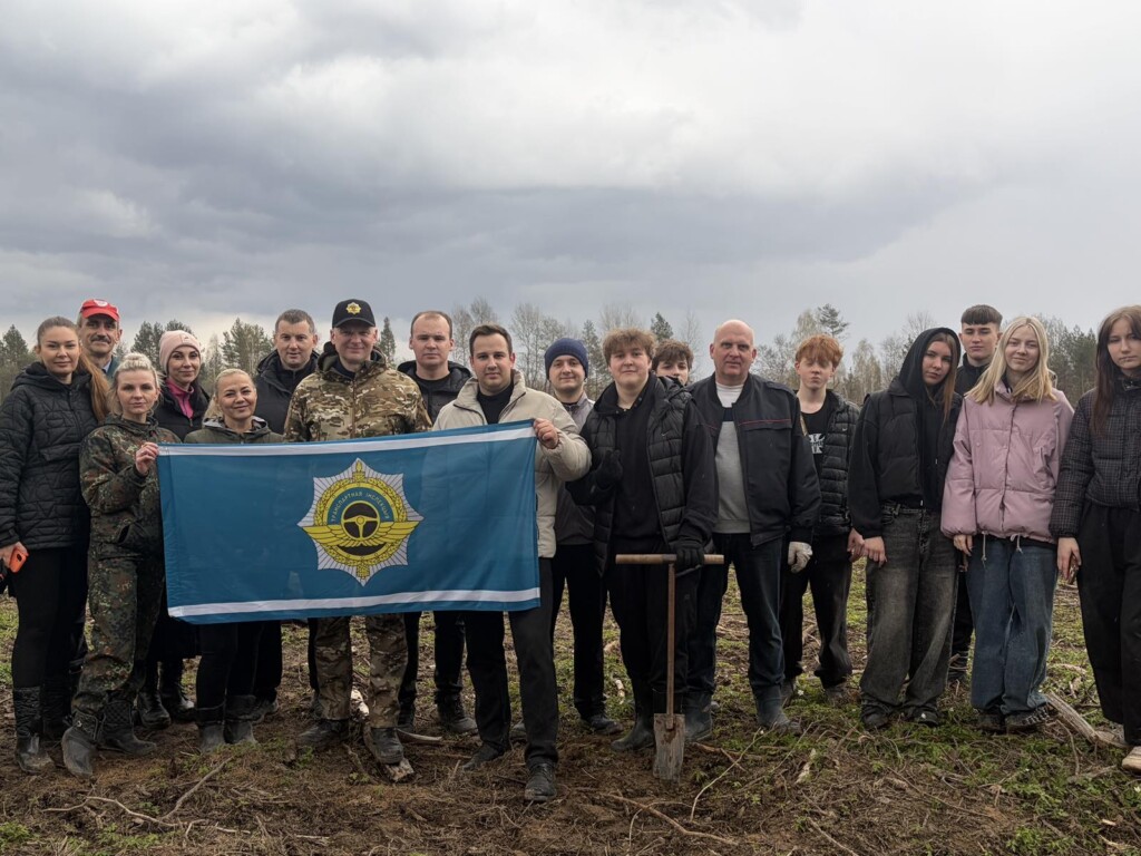 на высадке леса