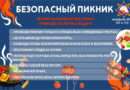 безопасный пикник