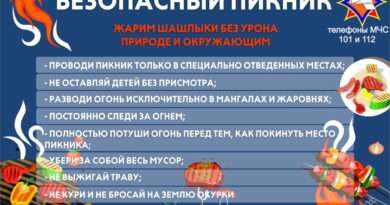 безопасный пикник