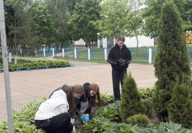 Акция по озеленению «Красота вокруг нас»: цветущий двор, созданный вместе с учениками работа на клумбах