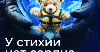 У стихии нет сердца У стихии нет сердца