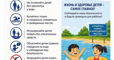плакат