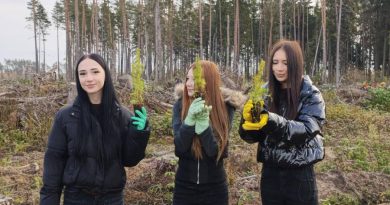дай лесу новае жыццё